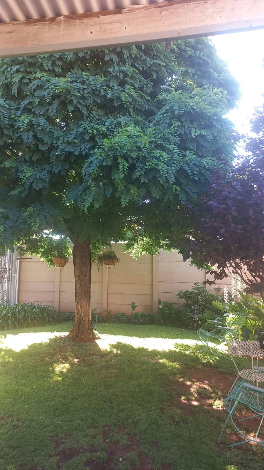 3 Bedroom Property for Sale in Herlear Northern Cape